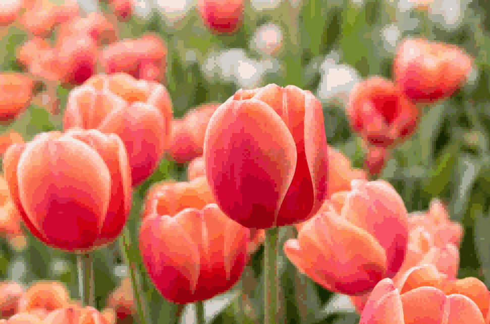 海关数据,PA真人国际海关数据,荷兰海关数据