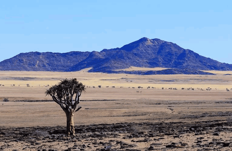 外贸, 外贸公司开发, 外贸公司